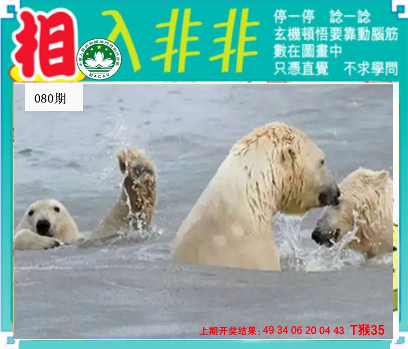 080期相入非非[图]